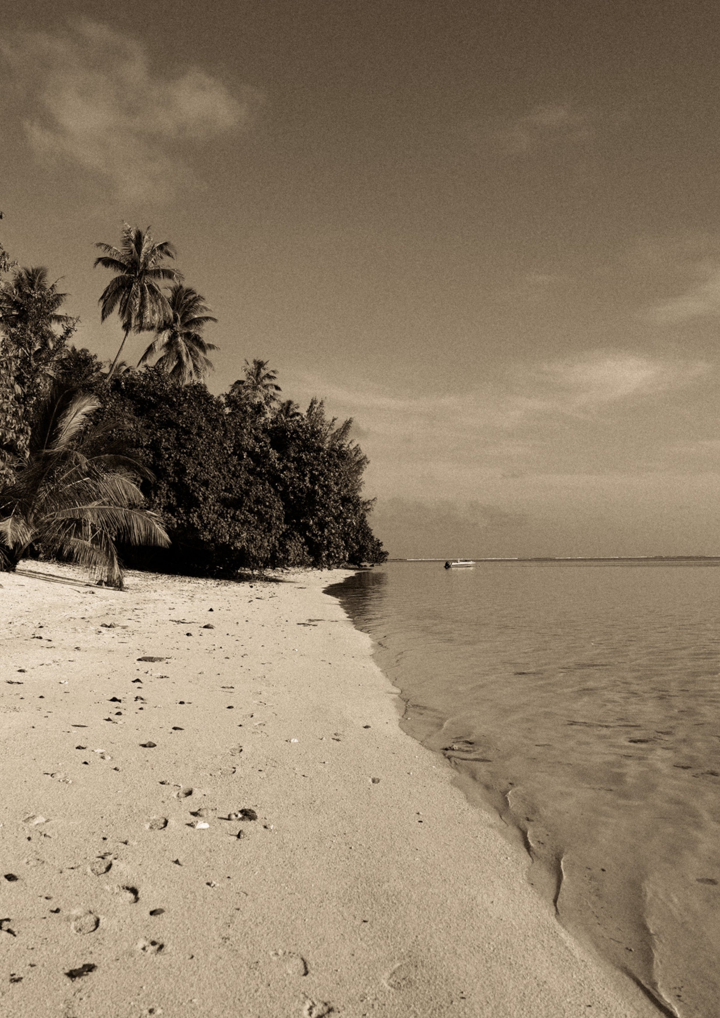 EMPREINTES DU RIVAGE