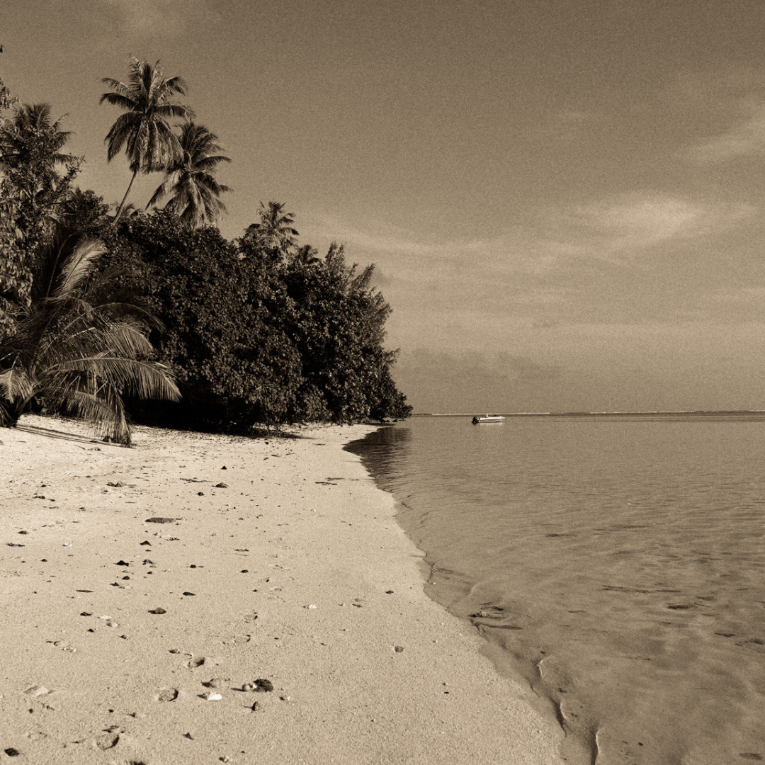 Empreintes du rivage
