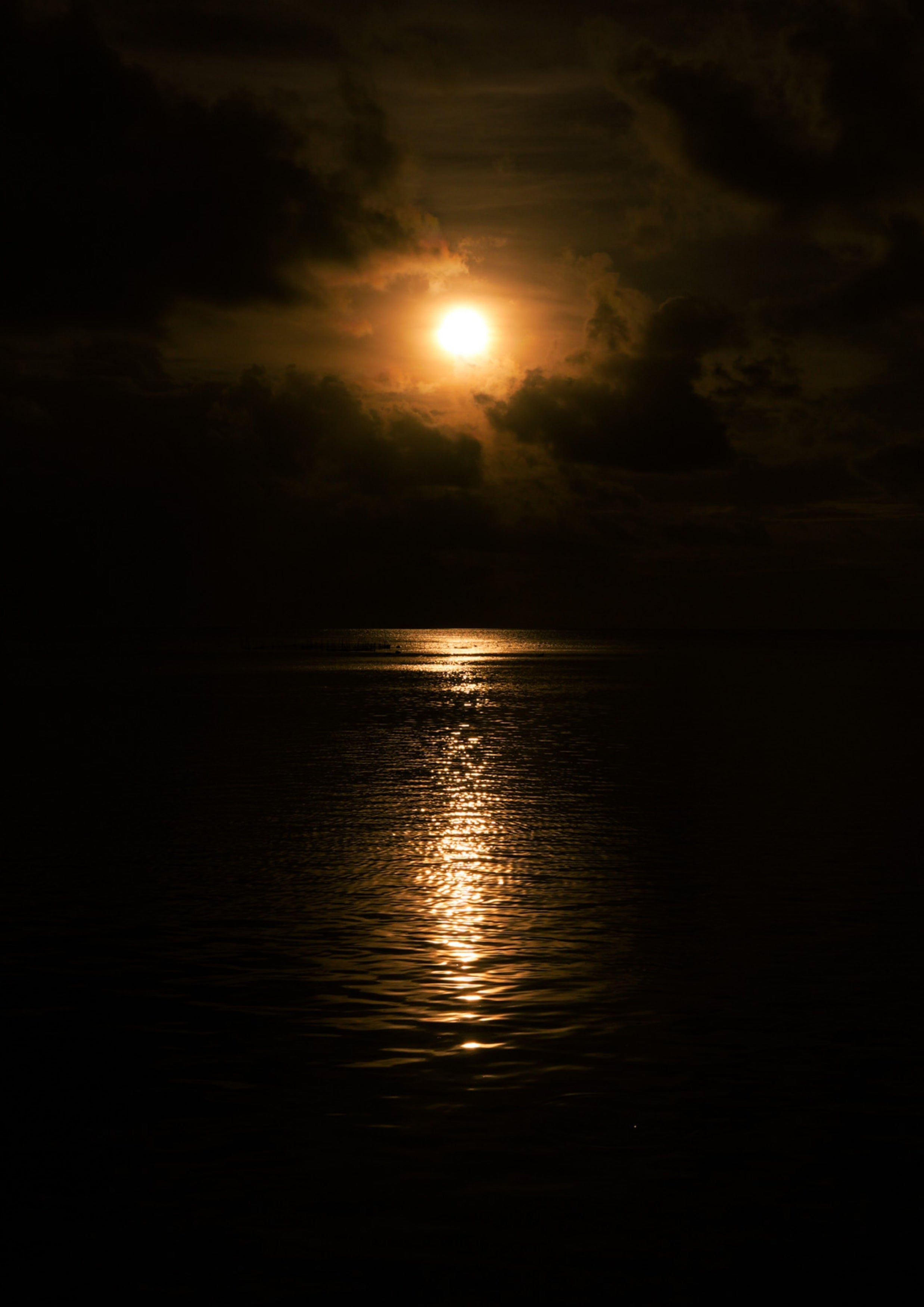 L'OR QUI DORT