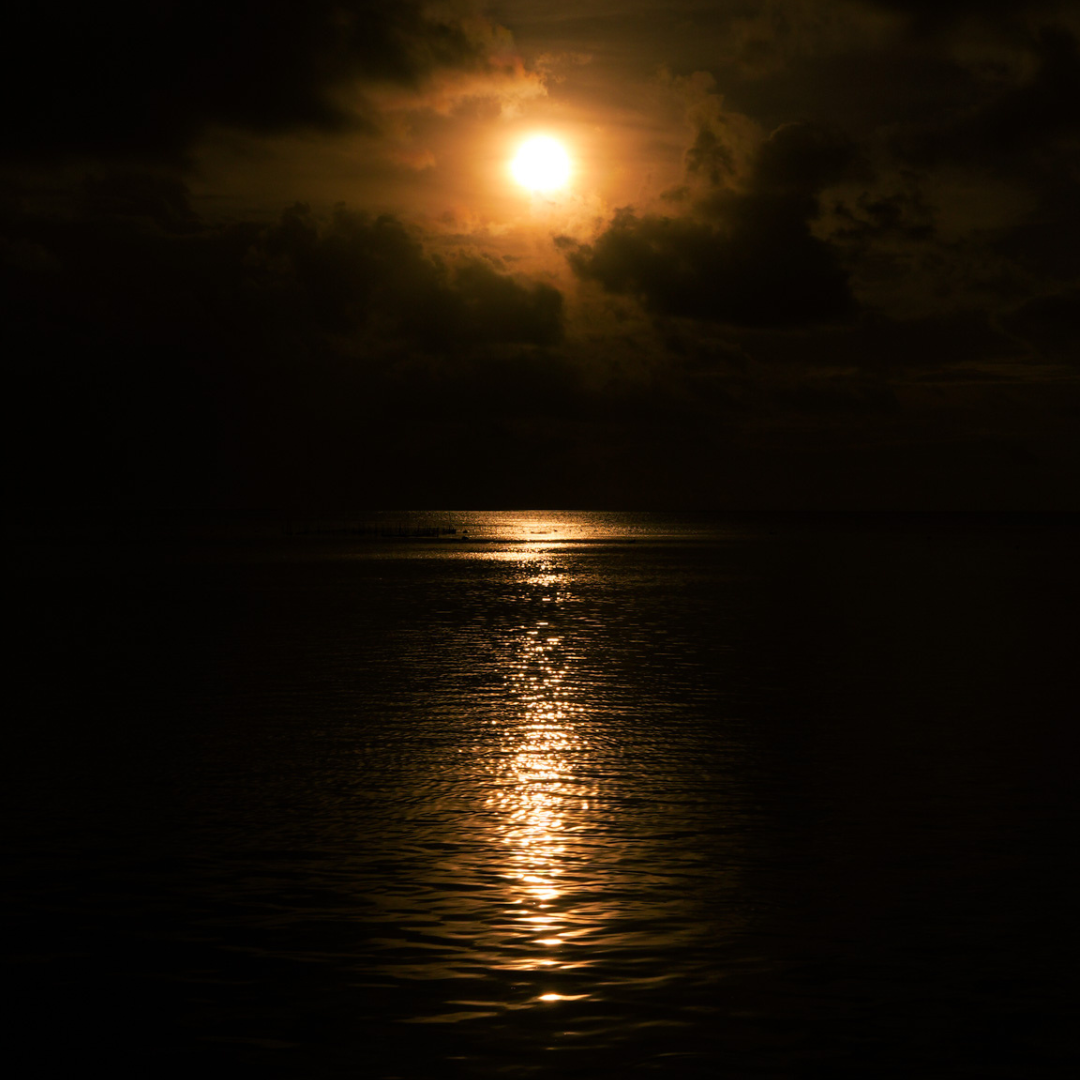 L’or qui dort