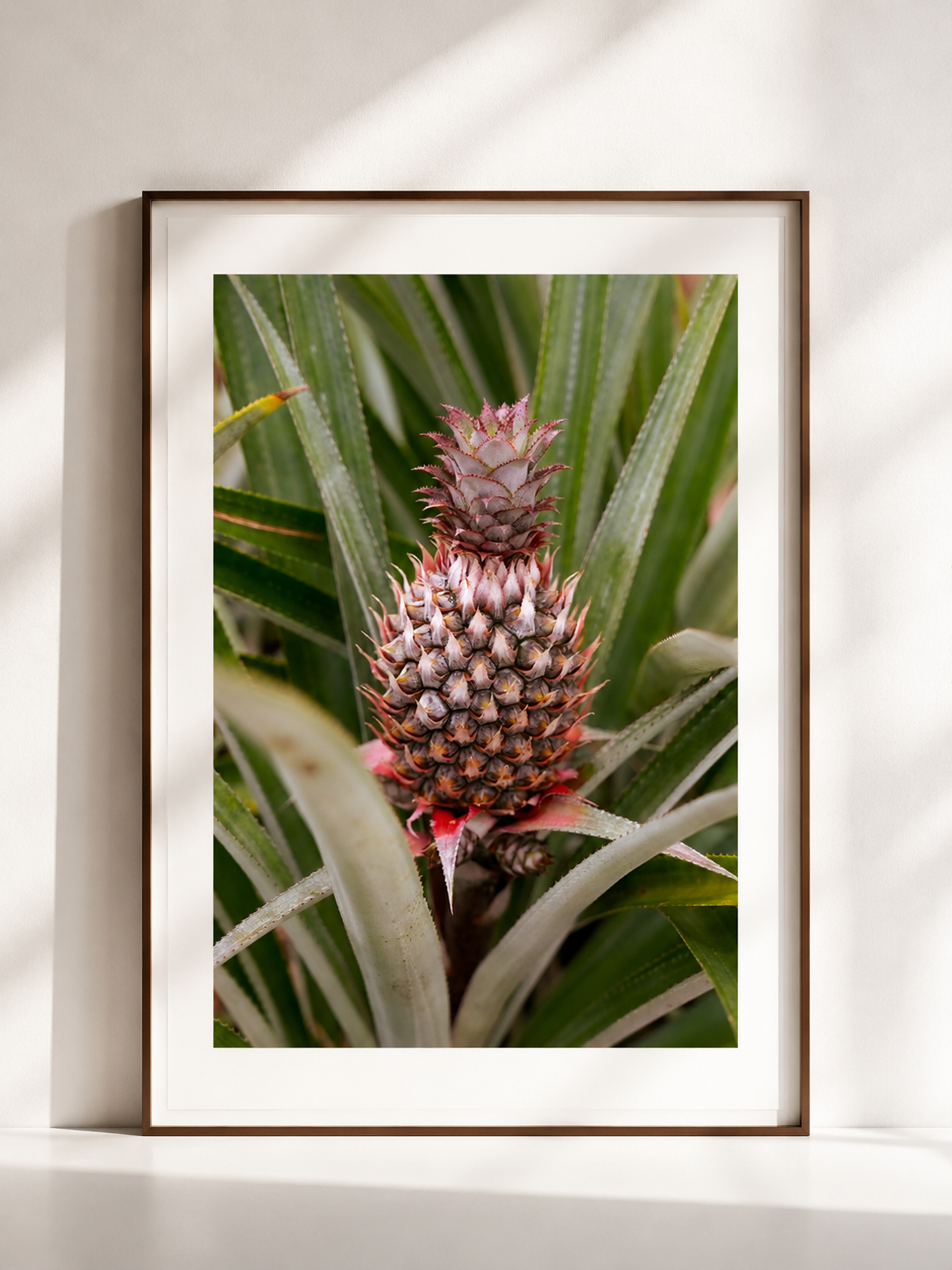 COURONNE TROPICALE